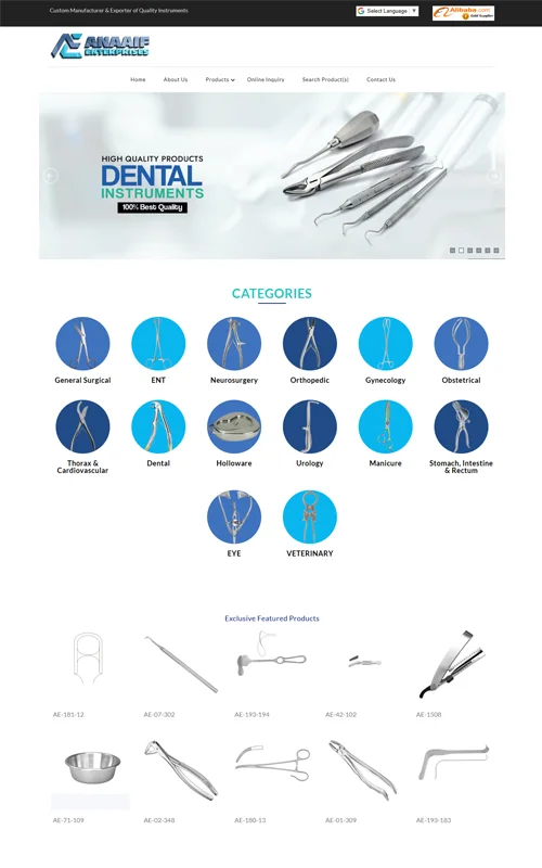 Portfolio Screenshot 04