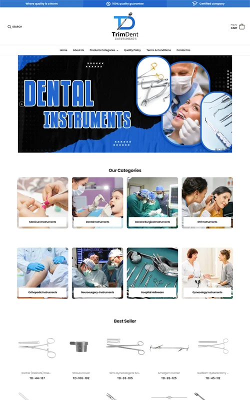 Portfolio Screenshot 12