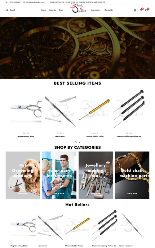 Portfolio Screenshot 28