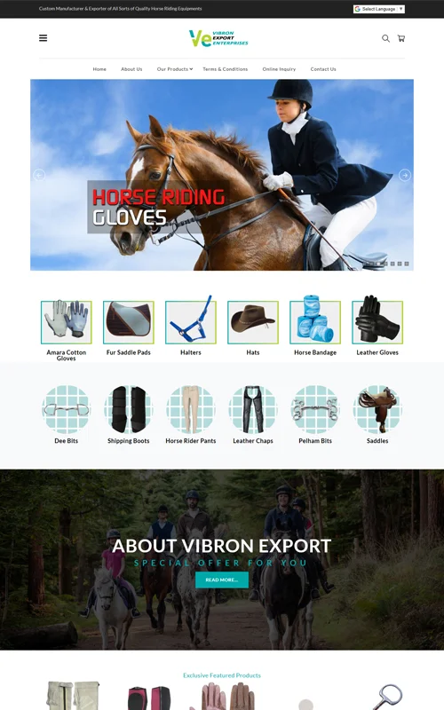 Portfolio Screenshot 29