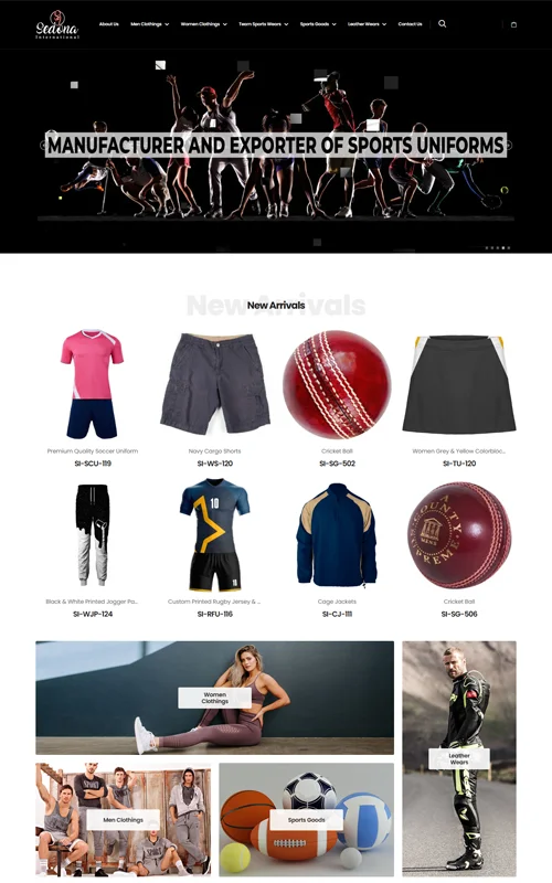 Portfolio Screenshot 31