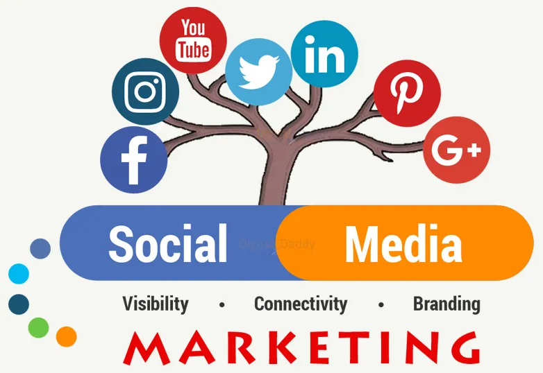 Social Media Marketing in Sialkot – Facebook & Instagram Ads